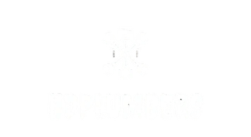 HDPLUMBERS